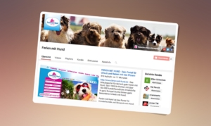 Ferien mit Hund Tourismus Youtube Video Marketing